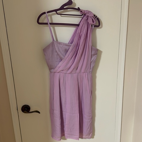 BCBG Perfect for wedding or prom lavender color chiffon dress - Picture 5 of 5